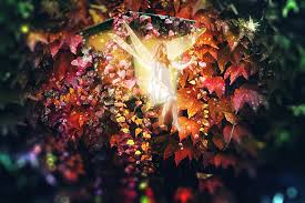 Artistic Effects: Magical Filters for Breathtaking Images