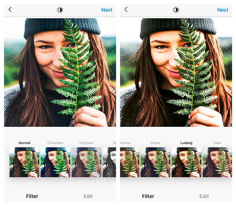 How to Put a Filter on a Picture for Stunning Visual Results