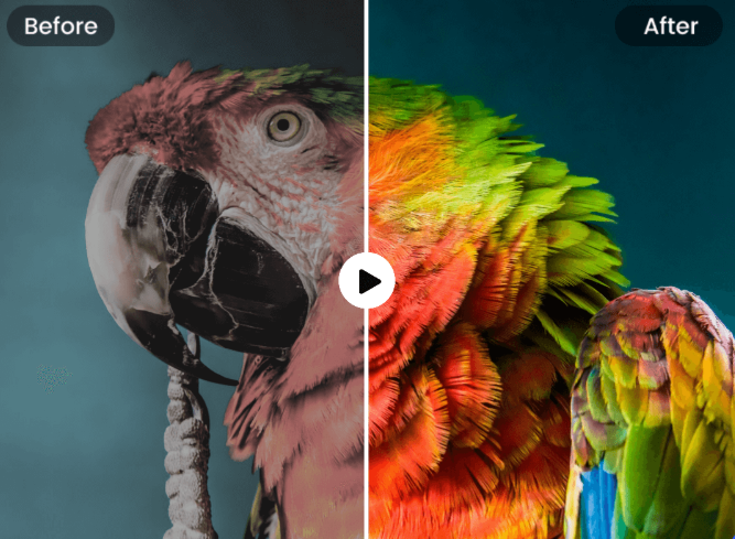 Video Color Correction: Make Your Videos Look Stunning