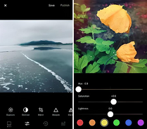 App to Save Only Red in Photo PixelFox Best Red Photo Filter