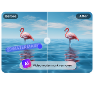 Watermark Eraser: Remove Watermark from Video Online Free