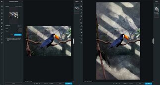 Best AI Professional Photo Editor: Free Photoshop Alternatives & Auto Touch-Up Tools
