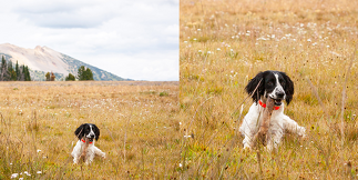 High Quality Pictures – Capture Every Detail in Stunning Resolution