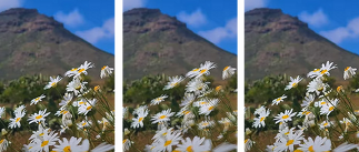Frame Interpolation Free: Turning Any Video into Smooth 60 FPS Animation
