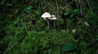 What Is Video HD? A Complete Guide to High-Definition Video Quality