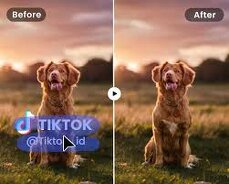 AI Video Object Remover: Remove Objects From Video in Seconds