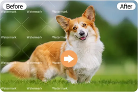 Want to Erase Watermarks from Videos? Try AI Video Eraser Tools Online for Free!