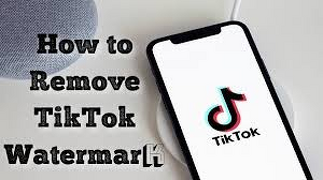 Remove TikTok Watermark Online Free in Seconds