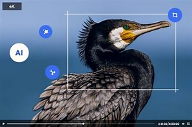 Best Free 4K Video Editor, Create and Edit 4K Videos with Pixel Fox