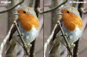 Clear Picture Online with AI: Free Photo Sharpening and Image Enhancer