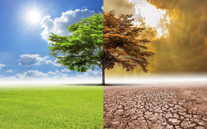 Looking for the Best Picture Editing Software? Discover AI Tools to Transform Your Photos!